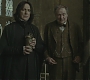 Halfblood-02702.jpg
