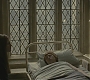 Halfblood-02711.jpg