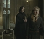 Halfblood-02715.jpg