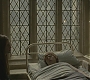 Halfblood-02718.jpg