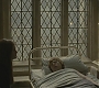 Halfblood-02719.jpg