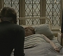 Halfblood-02725.jpg