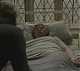 Halfblood-02733.jpg