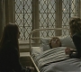 Halfblood-02738.jpg
