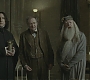 Halfblood-02741.jpg