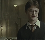 Halfblood-02755.jpg