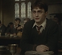 Halfblood-02847.jpg