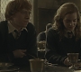 Halfblood-02849.jpg