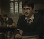 Halfblood-02850.jpg