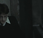 Halfblood-02903.jpg