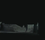 Halfblood-02912.jpg
