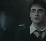Halfblood-02931.jpg