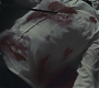 Halfblood-02940.jpg