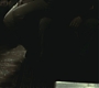 Halfblood-02947.jpg