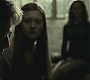 Halfblood-02953.jpg