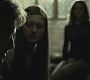 Halfblood-02954.jpg