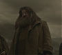 Halfblood-03176.jpg