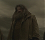 Halfblood-03177.jpg