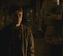 Halfblood-03276.jpg