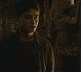 Halfblood-03277.jpg