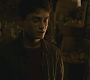 Halfblood-03278.jpg