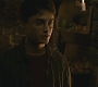 Halfblood-03280.jpg