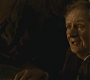 Halfblood-03281.jpg