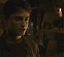 Halfblood-03286.jpg