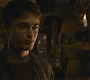 Halfblood-03287.jpg
