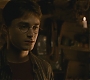 Halfblood-03288.jpg