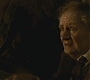 Halfblood-03292.jpg