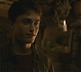 Halfblood-03294.jpg