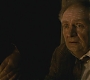 Halfblood-03296.jpg