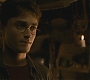 Halfblood-03301.jpg