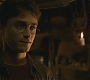 Halfblood-03306.jpg