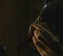 Halfblood-03311.jpg