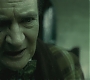 Halfblood-03373.jpg