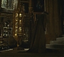 Halfblood-03392.jpg