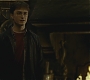 Halfblood-03397.jpg
