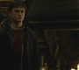 Halfblood-03398.jpg
