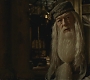 Halfblood-03399.jpg