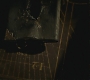 Halfblood-03403.jpg