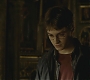 Halfblood-03404.jpg