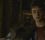 Halfblood-03405.jpg