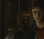 Halfblood-03406.jpg