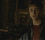 Halfblood-03409.jpg
