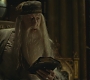 Halfblood-03412.jpg