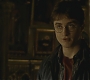 Halfblood-03413.jpg