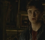 Halfblood-03418.jpg