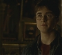 Halfblood-03420.jpg